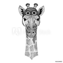 Bild på Camelopard giraffe wearing aviator hat Motorcycle hat with glasses for biker Illustration for motorcycle or aviator t-shirt with wild animal